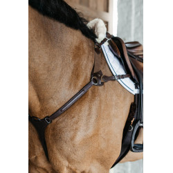 Peitoral de 5 pontos com elásticos New English Collection Dy'on Castanho Peitoral de 5 pontos com elásticos New English Collection Dy'on Castanho