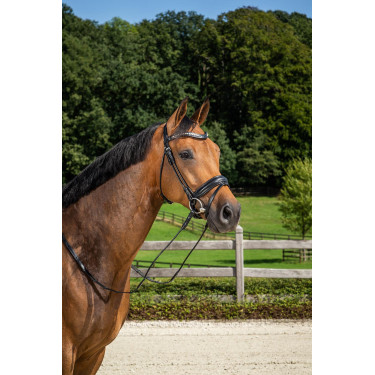 Bridão Narigueira Combinada Média com Pull-Back Dressage Couro Redondo Dy'on