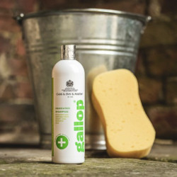 Shampoo antibacteriano Gallop® Carr & Day & Martin Shampoo antibacteriano Gallop® Carr & Day & Martin
