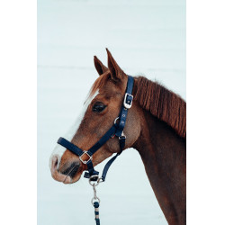 Caveção Hardwick B Vertigo Azul-marinho escuro Caveção Hardwick B Vertigo Azul-marinho escuro