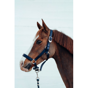 Caveção Hardwick B Vertigo Azul-marinho escuro Caveção Hardwick B Vertigo Azul-marinho escuro