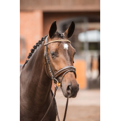 Frontal Horze Nancy Cristal com testadeira linha Horze Marrom / dourado rosado Castanho Frontal Horze Nancy Cristal com testadeira linha Horze Marrom / dourado rosado Castanho