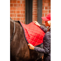 Almofada de sela mista B Vertigo Amory com monograma bordado B Vertigo Vermelho rosa bérberis