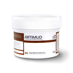 Artimud Rood Paard