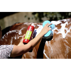 Shampoing Lucy diamonds Shampoing Lucy diamonds