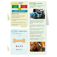 Mon Cahier d'Activités - Niveau CM1 LAVAUZELLE Mon Cahier d'Activités - Niveau CM1 LAVAUZELLE