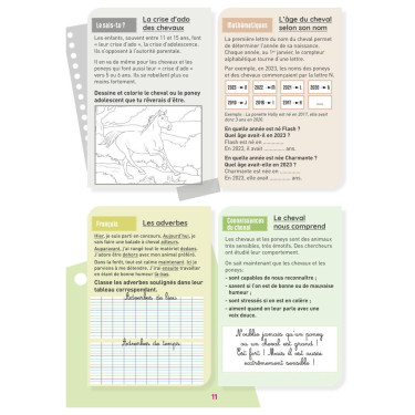 Meu Caderno de Atividades Nível CM1 Lavauzelle Meu Caderno de Atividades Nível CM1 Lavauzelle