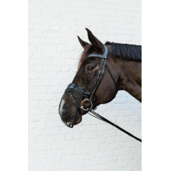 Filete de nariz Kentucky Preto