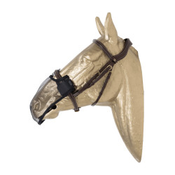 Filete de nariz Kentucky Preto