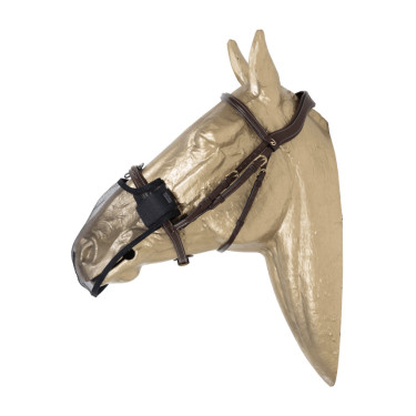 Filete de nariz Kentucky Preto