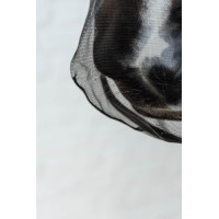 Filete de nariz Kentucky Preto