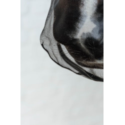 Filete de nariz Kentucky Preto