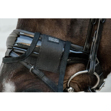 Filete de nariz Kentucky Preto