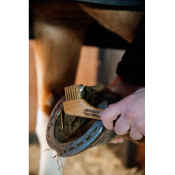 Cureta com escovas metálicas Kentucky Cureta com escovas metálicas Kentucky