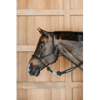 Cabezada etológica Dy'on Preto Cabezada etológica Dy'on Preto