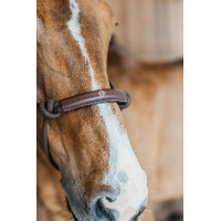 Cabezada etológica Dy'on Castanho