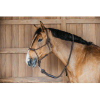 Longe Dy'on com mosquetão Castanho Longe Dy'on com mosquetão Castanho