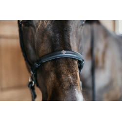 Bridão sem embocadura Bitless Dy'on Preto Bridão sem embocadura Bitless Dy'on Preto