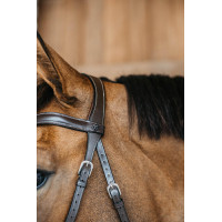 Bridão sem embocadura Bitless Dy'on Castanho