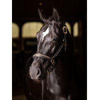 Caveção LeMieux de Couro com Cristais Castanho