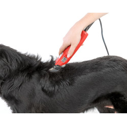 Tosquiadeira Favorita Speed Aesculap Vermelho Tosquiadeira Favorita Speed Aesculap Vermelho