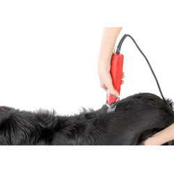 Tosquiadeira Favorita Speed Aesculap Vermelho Tosquiadeira Favorita Speed Aesculap Vermelho