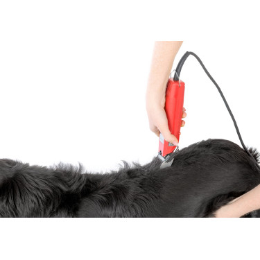 Tosquiadeira Favorita Speed Aesculap Vermelho Tosquiadeira Favorita Speed Aesculap Vermelho