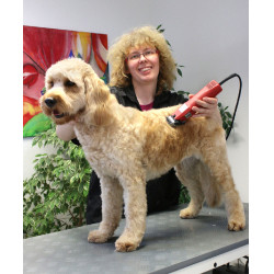 Tosquiadeira Favorita Speed Aesculap Vermelho Tosquiadeira Favorita Speed Aesculap Vermelho