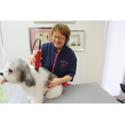 Tosquiadeira Favorita Speed Aesculap Vermelho Tosquiadeira Favorita Speed Aesculap Vermelho