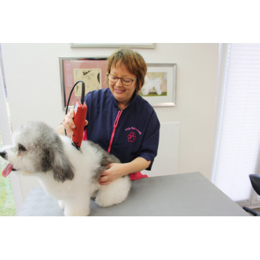 Tosquiadeira Favorita Speed Aesculap Vermelho Tosquiadeira Favorita Speed Aesculap Vermelho