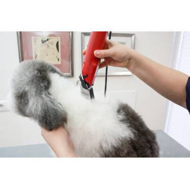 Tosquiadeira Favorita Speed Aesculap Vermelho Tosquiadeira Favorita Speed Aesculap Vermelho