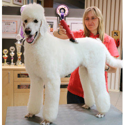 Tosquiadeira Favorita Speed Aesculap Vermelho Tosquiadeira Favorita Speed Aesculap Vermelho