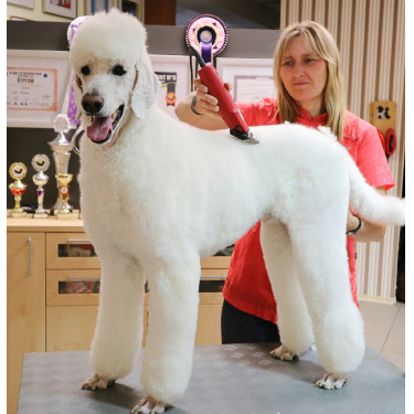 Tosquiadeira Favorita Speed Aesculap Vermelho Tosquiadeira Favorita Speed Aesculap Vermelho