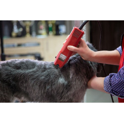 Tosquiadeira Favorita Speed Aesculap Vermelho Tosquiadeira Favorita Speed Aesculap Vermelho