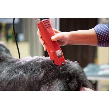 Tosquiadeira Favorita Speed Aesculap Vermelho Tosquiadeira Favorita Speed Aesculap Vermelho