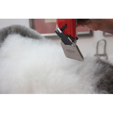 Tosquiadeira Favorita Speed Aesculap Vermelho Tosquiadeira Favorita Speed Aesculap Vermelho