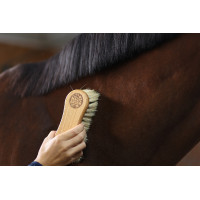 Brosse combinée Magic Brush