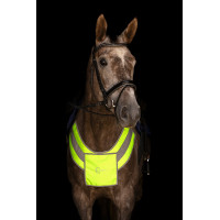 Collier de chasse réfléchissant Covalliero Collier de chasse réfléchissant Covalliero