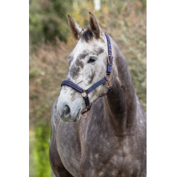 Cabeçada para cavalo Royal Covalliero Cabeçada para cavalo Royal Covalliero