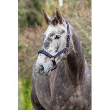 Cabeçada para cavalo Royal Covalliero Cabeçada para cavalo Royal Covalliero