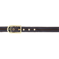 Cabeçada para cavalo Royal Covalliero Azul / caramelo