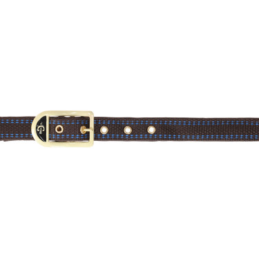 Cabeçada para cavalo Royal Covalliero Marrom / azul claro Castanho