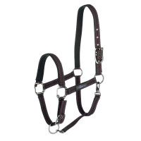 Cabeçada para cavalo Royal Covalliero Preto / fúcsia