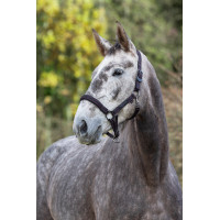 Cabeçada para cavalo Royal Covalliero Azul / caramelo