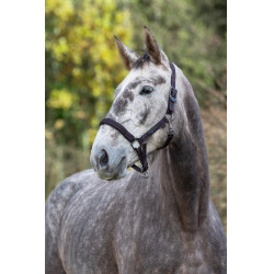 Cabeçada para cavalo Royal Covalliero Preto / fúcsia