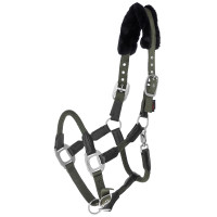 Cabresto Cordano Covalliero Oliva Verde