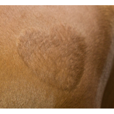 Pochoir de tonte Kerbl Pochoir de tonte Kerbl