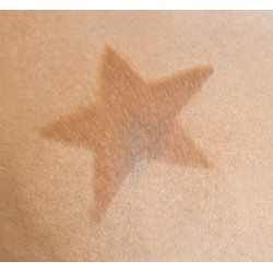 Pochoir de tonte Kerbl Pochoir de tonte Kerbl