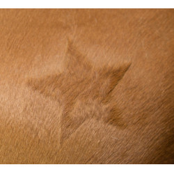 Pochoir de tonte Kerbl Pochoir de tonte Kerbl