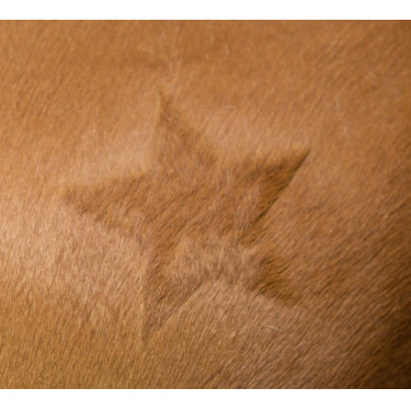 Pochoir de tonte Kerbl Pochoir de tonte Kerbl